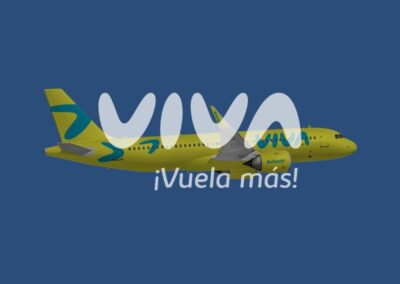 Creación Manual de Experiencia Viva Air