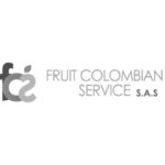 logo-miniatura-diseno-web-ux-ui-marketing-experiencia-usuario-fruit-colombian-service