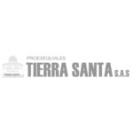 logo-miniatura-diseno-web-ux-ui-marketing-experiencia-usuario-funeraria-tierra-santa