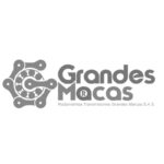 logo-miniatura-diseno-web-ux-ui-marketing-experiencia-usuario-rt-grandes-marcas