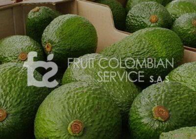 Diseño y programación sitio web Fruit Colombian Service