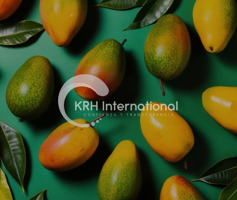 Diseño y programación sitio web KRH International