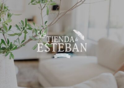 Diseño y Programación eCommerce La tienda de Esteban