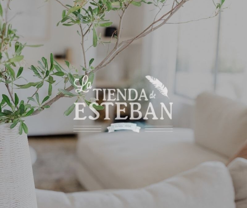 Diseño y Programación eCommerce La tienda de Esteban