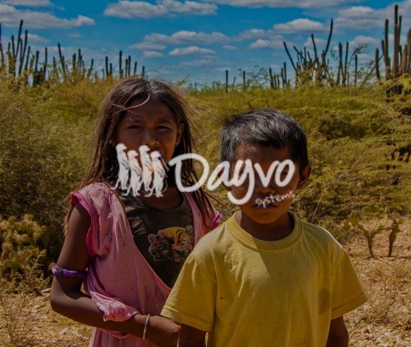 Diseño y Programación sitio web Nación Wayuu