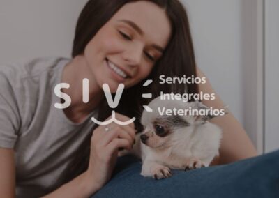 Diseño marca y sitio web SIV Mascotas