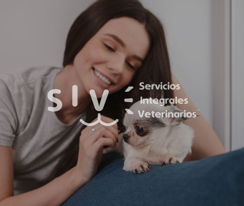 Diseño marca y sitio web SIV Mascotas